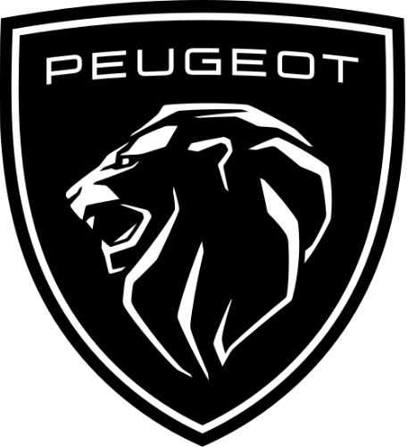 Peugeot Professional