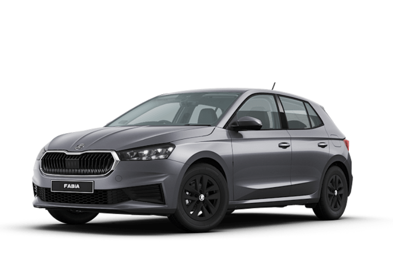 Skoda Fabia noleggio lungo termine privati