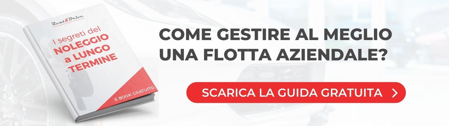 fleet manager ebook noleggio lungo termine