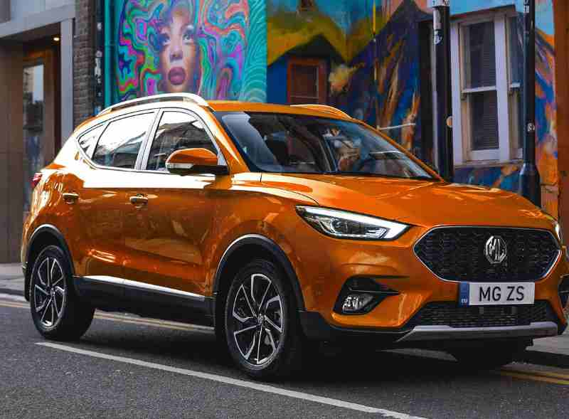 Mg ZS 2024