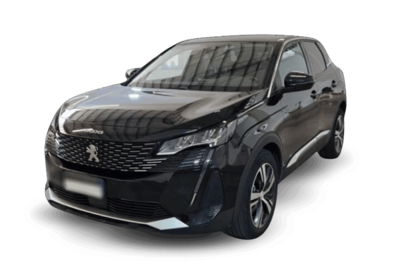 Peugeot 3008 usata